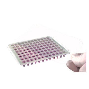 Simport Scientific Transparent Sealing Film TRANSPARENT SEALING FILM FOR REAL TIME PCR