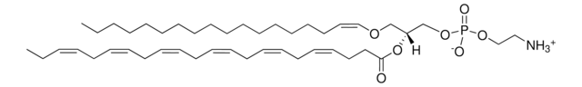 C18(Plasm)-22:6 PE 1-(1Z-octadecenyl)-2-docosahexaenoyl-sn-glycero-3-phosphoethanolamine, chloroform