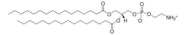 16:0 PE Avanti Polar Lipids