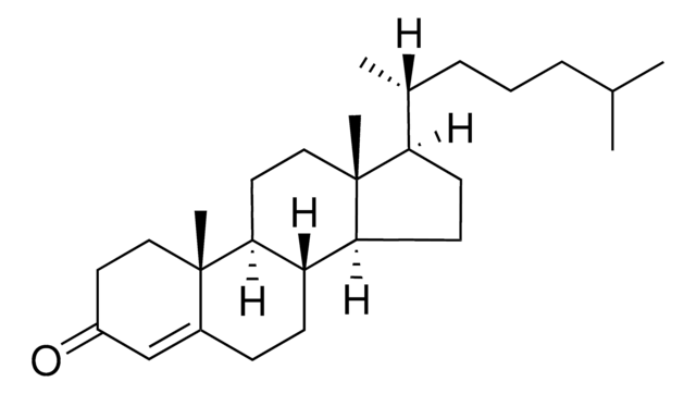 cholestenone Avanti Polar Lipids