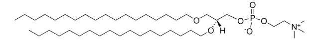 18:0 Diether PC 1,2-di-O-octadecyl-sn-glycero-3-phosphocholine, powder