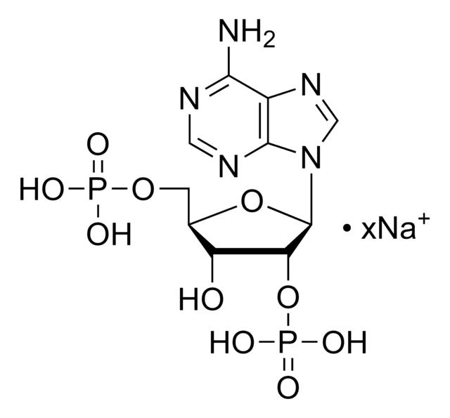 Adenosine 2&#8242;,5&#8242;-diphosphate sodium salt &#8805;95%