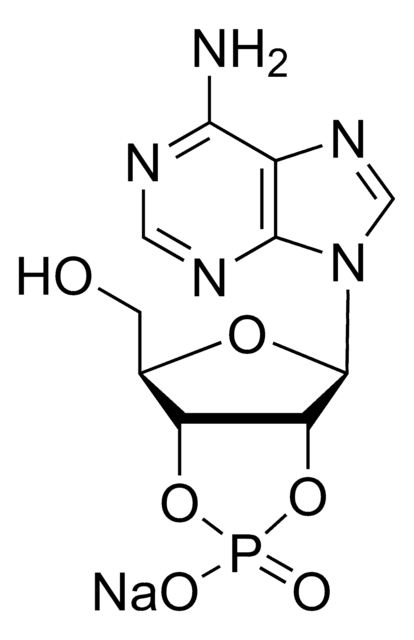 Adenosine 2&#8242;:3&#8242;-cyclic monophosphate sodium salt &#8805;93%