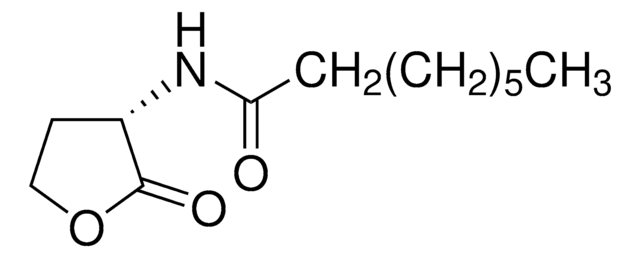 N -辛酰- L -高丝氨酸内酯 &#8805;96% (HPLC)