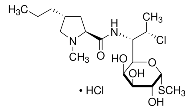 克林霉素 盐酸盐 lincosamide antibiotic