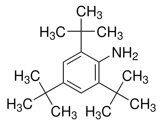 2,4,6-三叔丁基苯胺 99%
