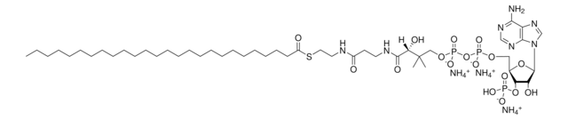 26：0辅酶A Avanti Polar Lipids 870726P, powder