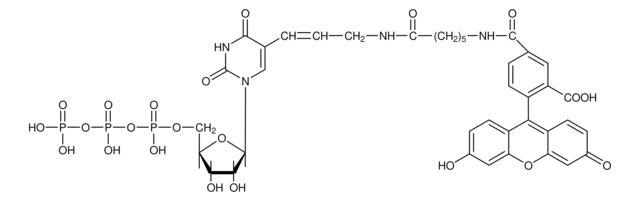 荧光素-12-UTP &#8805;85% (HPLC), solution