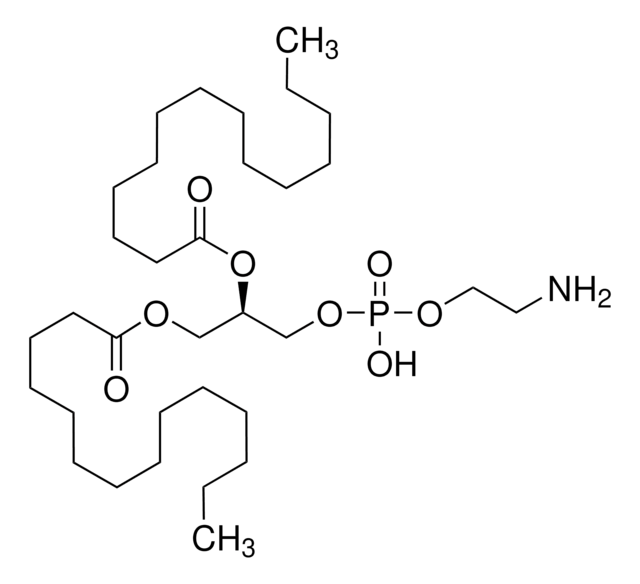 1,2-二肉豆蔻酰-sn-甘油基-3-磷酸乙醇胺 synthetic, &#8805;99%
