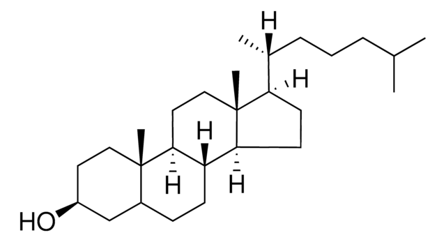 胆甾烯醇 Avanti Polar Lipids