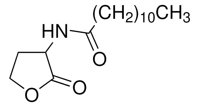 N-Dodecanoyl-DL-homoserine lactone &#8805;97.0% (HPLC)