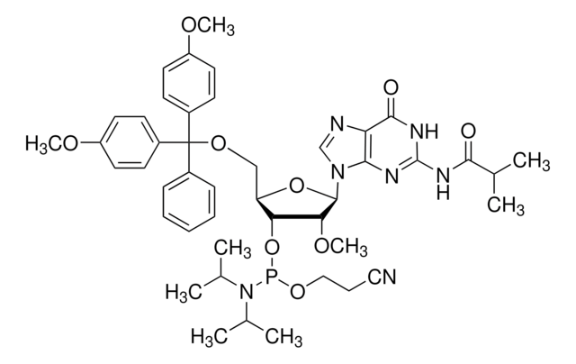 DMT-2&#8242;O-Methyl-rG(ib) Phosphoramidite