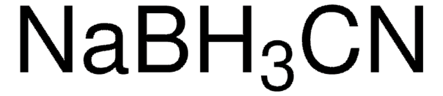 Sodium cyanoborohydride solution 1.0&#160;M in THF