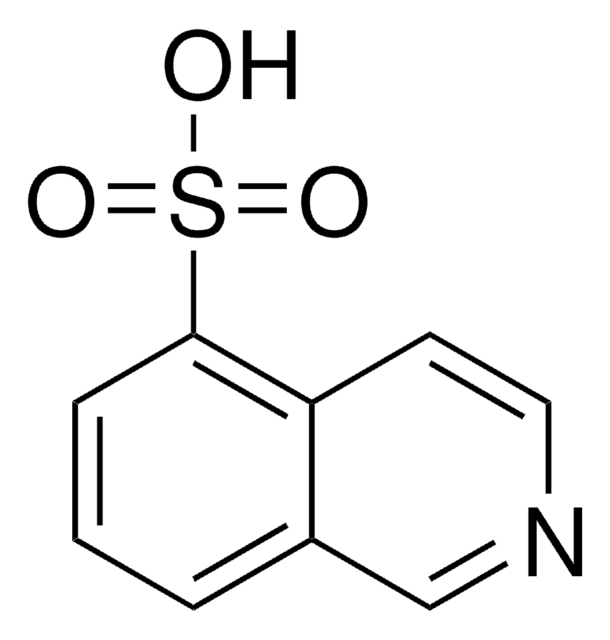 5-Isoquinolinesulfonic acid 95%