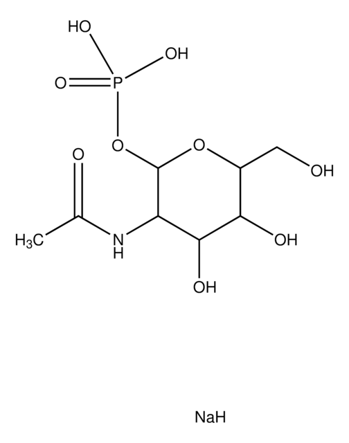 N-乙酰-&#945;-D-氨基葡萄糖1-磷酸 二钠盐 &#8805;95%