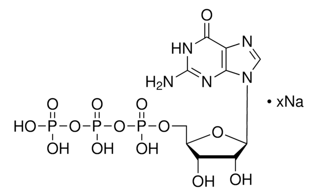 Guanosine 5&#8242;-triphosphate sodium salt hydrate &#8805;95% (HPLC), powder