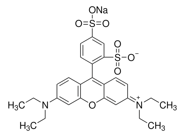 磺酰罗丹明 B 钠盐 powder, BioReagent, suitable for cell culture