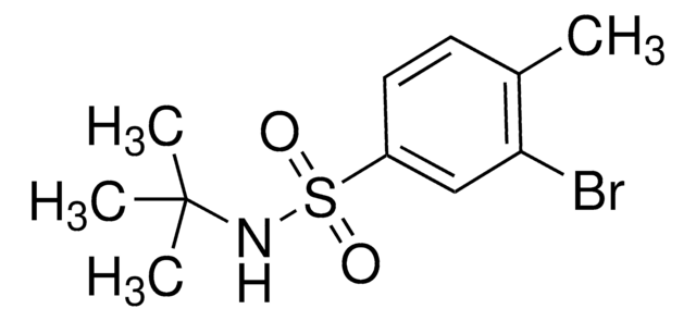 N-tert-Butyl 3-bromo-4-methylbenzenesulfonamide