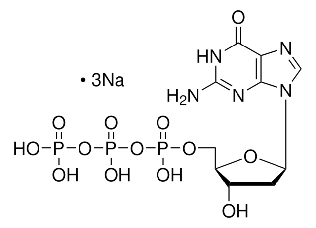 2&#8242;-Deoxyguanosine 5&#8242;-triphosphate trisodium salt solution 100&#160;mM (pH 7)