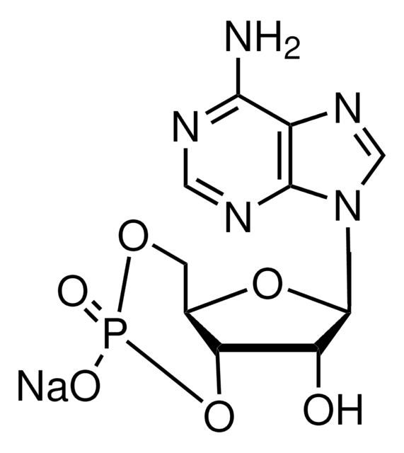 Adenosine 3&#8242;,5&#8242;-cyclic monophosphate sodium salt monohydrate &#8805;98.0% (HPLC), powder