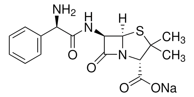 氨苄西林 钠盐 BioXtra, suitable for cell culture
