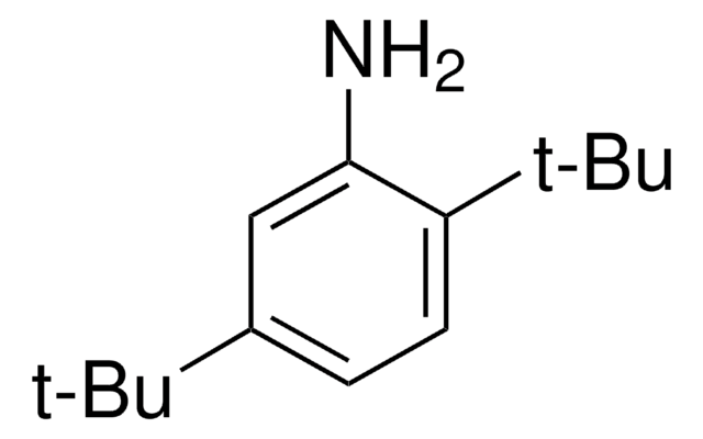 2,5-二叔丁基苯胺 99%