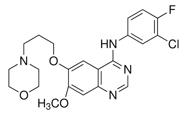 吉非替尼 European Pharmacopoeia (EP) Reference Standard