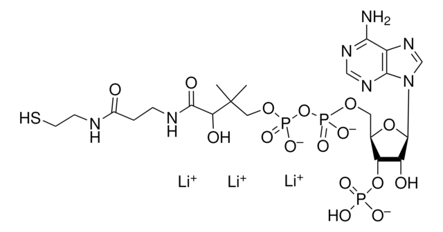 辅酶A三锂盐 Coenzyme A, Trilithium Salt, CAS 18439-24-2, serves as a cofactor in enzymatic acetyl transfer reactions.