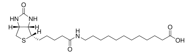 12:0 N-Biotinyl Fatty Acid Avanti Polar Lipids 860557P, powder