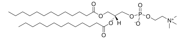 13:0 PC 1,2-ditridecanoyl-sn-glycero-3-phosphocholine, chloroform