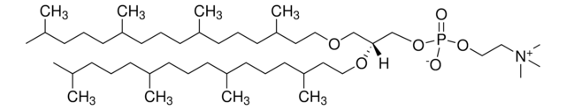 4ME 16:0 二醚PC Avanti Polar Lipids 999984P, powder