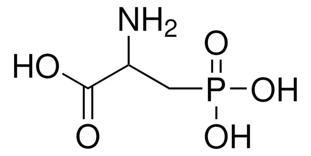 DL-2-Amino-3-phosphonopropionic acid