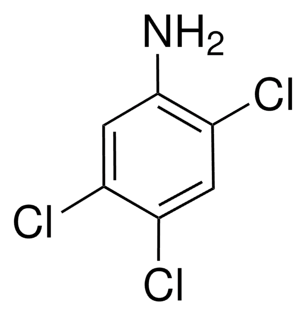 2,4,5-三氯苯胺 95%