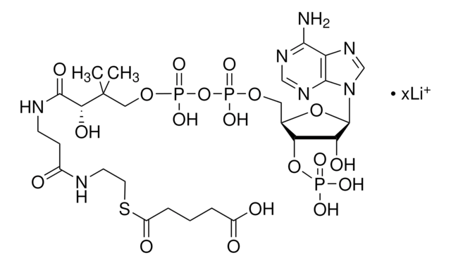 Glutaryl coenzyme A lithium salt &#8805;90%