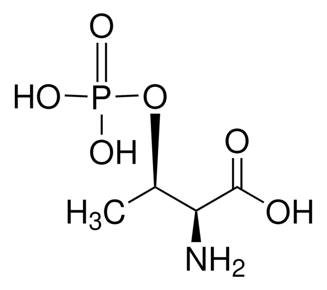 O-Phospho-L-threonine