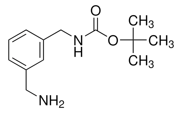 1-(N-Boc-aminomethyl)-3-(aminomethyl)benzene 97%