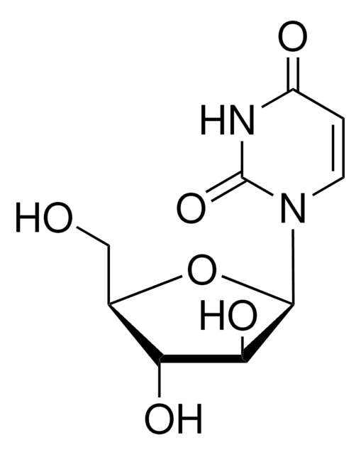 Uracil 1-&#946;-D-arabinofuranoside lymphoma antiproliferative