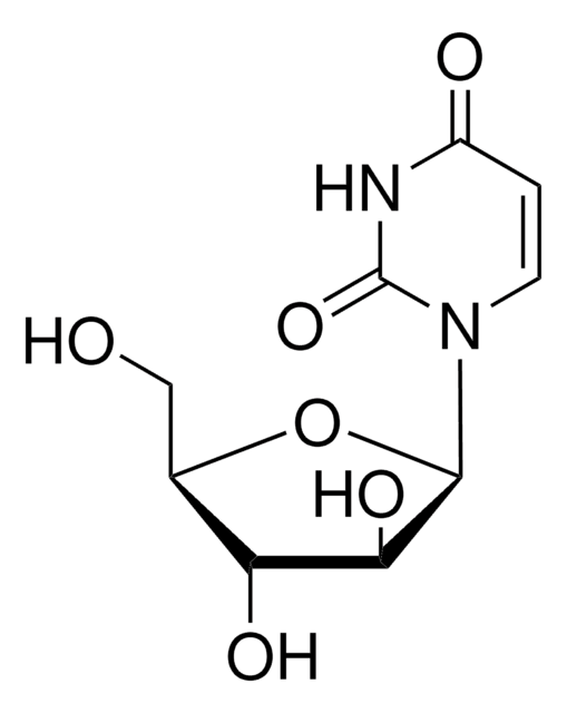 尿嘧啶1-&#946;-D-阿拉伯呋喃糖苷 European Pharmacopoeia (EP) Reference Standard