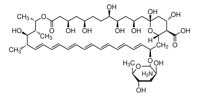 两性霉素B 来源于链霉菌 属 Vetec&#8482;, reagent grade, BioReagent, suitable for cell culture, ~80%