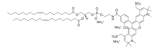 18:1 PE-TopFluor&#8482; AF594 Avanti Research&#8482; - A Croda Brand, chloroform solution