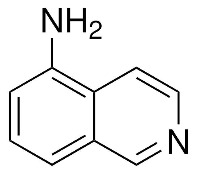 5-氨基异喹啉 99%