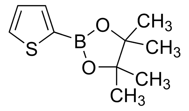 Thiophene-2-boronic acid pinacol ester 98% (GC)