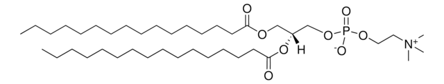 16:0 PC (DPPC) 1,2-dipalmitoyl-sn-glycero-3-phosphocholine, powder