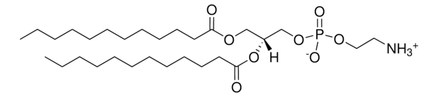 12:0 PE 1,2-dilauroyl-sn-glycero-3-phosphoethanolamine, powder