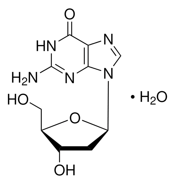 2'-脱氧鸟苷 一水合物 powder, BioReagent, suitable for cell culture, 99-100%