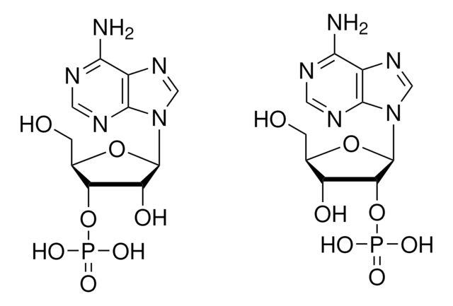 腺苷 2′(3′)-单磷酸混合异构体