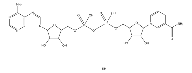 还原型 β-烟酰胺腺嘌呤二核苷酸 二钾盐