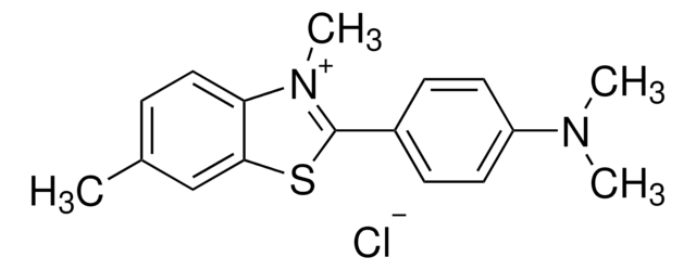 硫代磺素T used as stain for amyloid