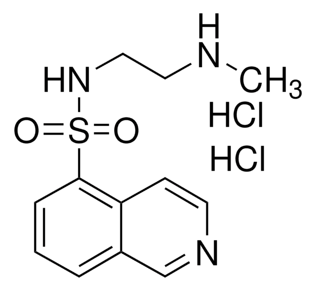 H-8 dihydrochloride &gt;98% (HPLC)