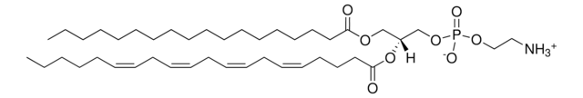 18:0-20:4 PE 1-stearoyl-2-arachidonoyl-sn-glycero-3-phosphoethanolamine, chloroform